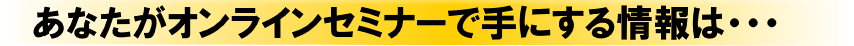 あなたがオンラインセミナーで手にする情報は・・