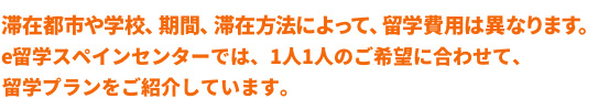 滞在都市や学校、期間、滞在方法によって、留学費用は異なります。スペイン留学代行センターでは、1人1人のご希望に合わせて、留学プランをご紹介しています。