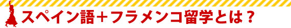 スペイン語+フラメンコ留学とは？