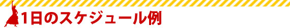 スケジュール例
