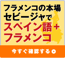 フラメンコの本場セビージャでスペイン語+フラメンコ