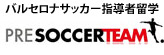 プレサッカーチーム