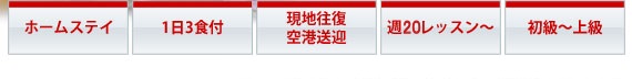 5つのポイント　ホームステイ　1日3食付　現地往復空港送迎　週20レッスン　初級～上級