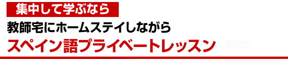 教師宅にホームステイしながらスペイン語プライベートレッスン