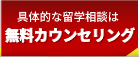 無料カウンセリング